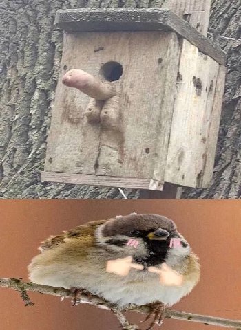 у у 4 у у i 7 i у А