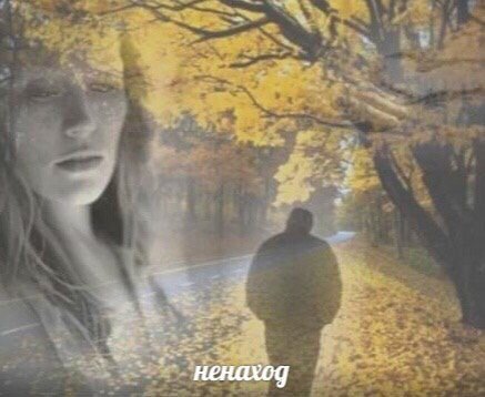ненаход