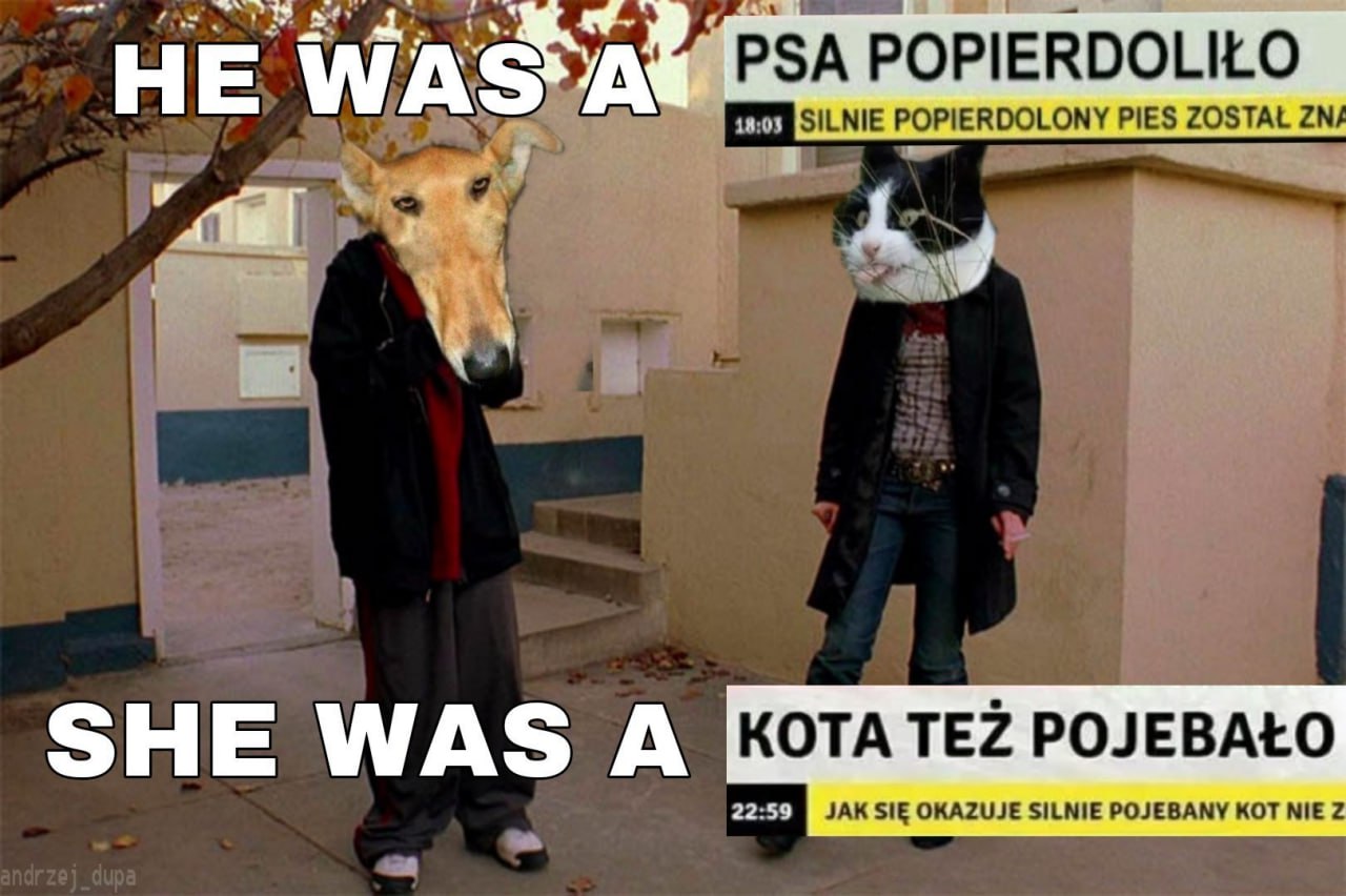 НЕ RDOLILO SHE WAS A КОТА РОЛЕВАЁО ЗАКЗЩ PQUEBAMY КОТ