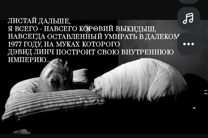 ЛИСТАЙ ДАЛЬШЕ, Я ВСЕГО НАВСЕГО КОРОВИЙ ВЫКИДЫШ, НАВСЕГДА ОСТАВЛЕННЫЙ УМИРАТЬ В ДАЛЕКОМ 1977 ГОДУ, НА МУКАХ КОТОРОГО ДЭВИД ЛИНЧ ПОСТРОИТ СВОЮ ВНУТРЕННЮЮ ИМПЕРИЮ. 5