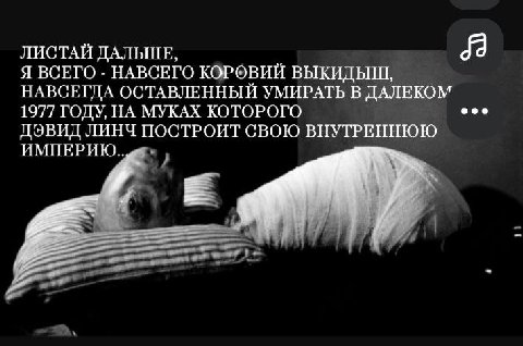 ЛИСТАЙ ДАЛЬШЕ, Я ВСЕГО НАВСЕГО КОРОВИЙ ВЫКИДЫШ, НАВСЕГДА ОСТАВЛЕННЫЙ УМИРАТЬ В ДАЛЕКОМ 1977 ГОДУ, НА МУКАХ КОТОРОГО ДЭВИД ЛИНЧ ПОСТРОИТ СВОЮ ВНУТРЕННЮЮ ИМПЕРИЮ. 5