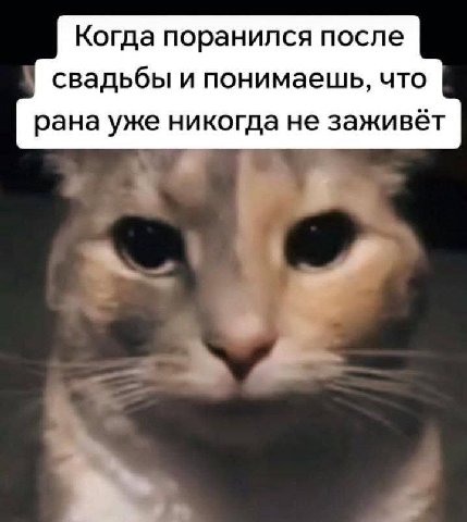 Когда поранился после свадьбы и понимаешь, что рана уже никогда не заживёт