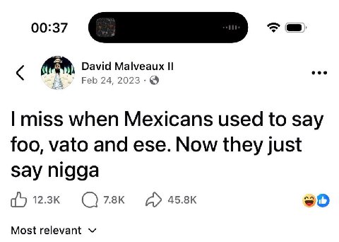 David Malveaux Feb 24, 2023-@ miss when Mexicans used to say foo, vato and ese. Now they just say nigga 12-3к 45.8К Most relevant