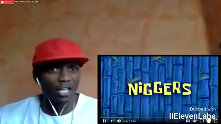 NiGGERS Dubbed with