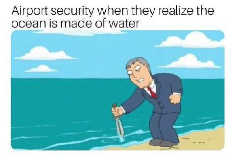 Airport security when they realize the ocean is made of water