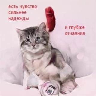 есть чувство сильнее надежды и глубже отчаяния