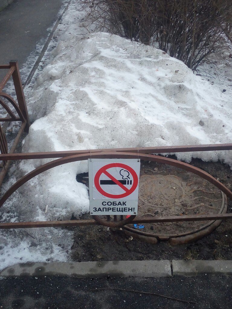 7 в 7 i aly у aye A BE A С 4 у 7 8 4 СОБАК ЗАПРЕЩЕН! 4 у IEE, a a 4 i к 3 a