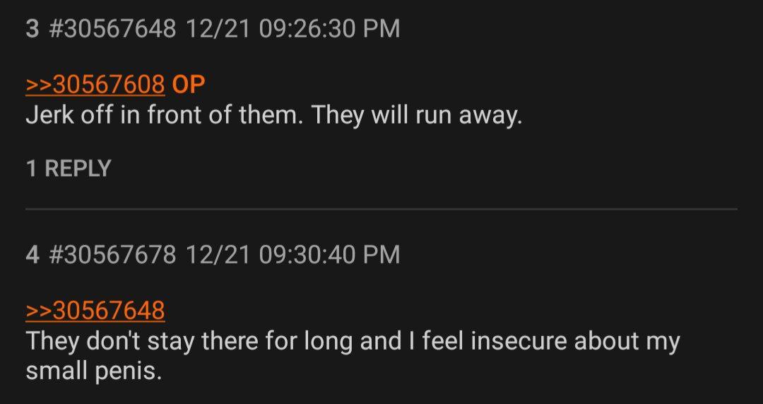 3 #30567648 12/21 09:26:30 >>30567608 Jerk off in front of them. They will run away. 1 REPLY 4 #30567678 12/21 09:30:40 >>30567648 They don't stay there for long and feel insecure about my small penis