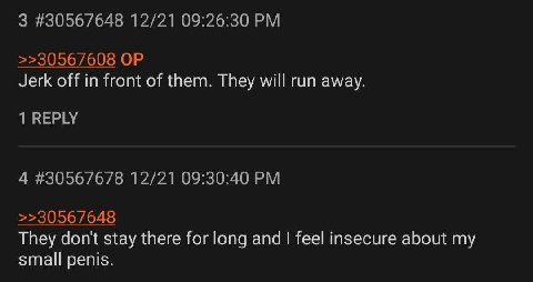 3 #30567648 12/21 09:26:30 >>30567608 Jerk off in front of them. They will run away. 1 REPLY 4 #30567678 12/21 09:30:40 >>30567648 They don't stay there for long and feel insecure about my small penis