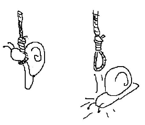 stupid ass snail didn't know dying is gay