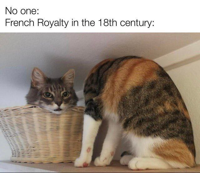 опе: French Royalty in the century: