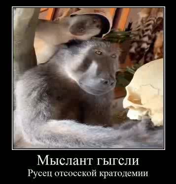 Мыслант гыгсли Русец отсосской кратодемии