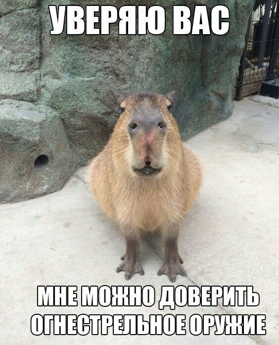 ВЕРЯЮ