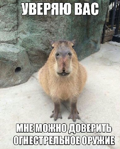 ВЕРЯЮ