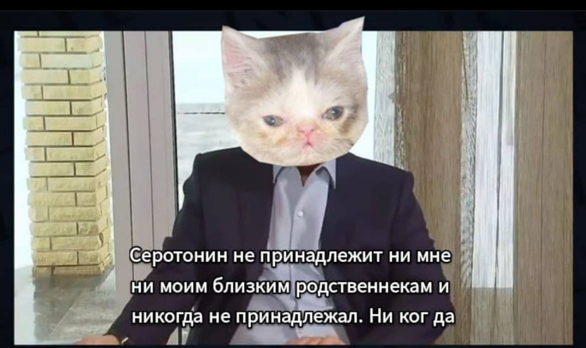a’ 3 Kal Серотонин не принадлежит ни мне 4 ни моим близким родственнекам и никогда не принадлежал. Ни ког да