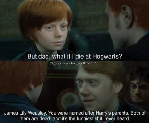But dad, what if die at Hogwarts? ffindor? James Lily Weasley. You were named after Harry's parents. Both of them are dead, and it's the funniest shit ever heard.