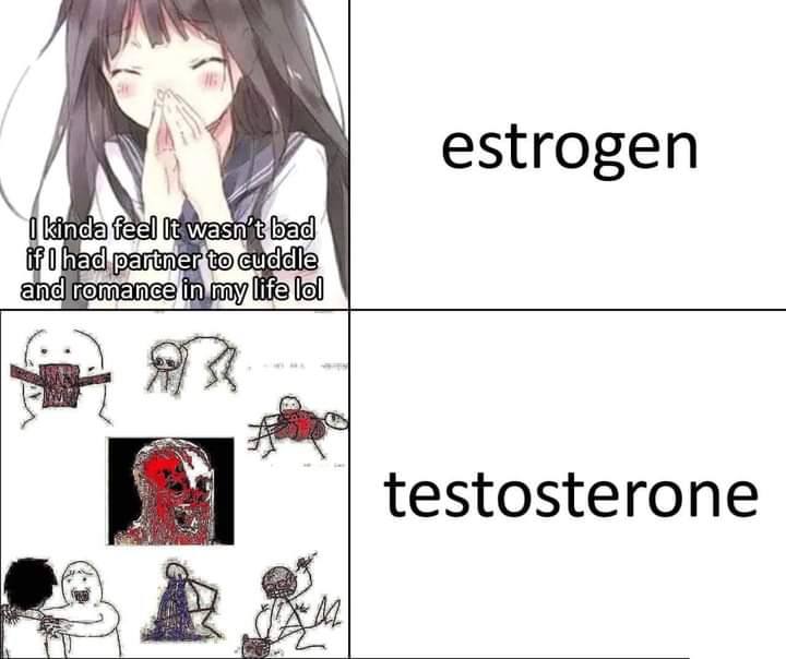 estrogen Bad! testosterone