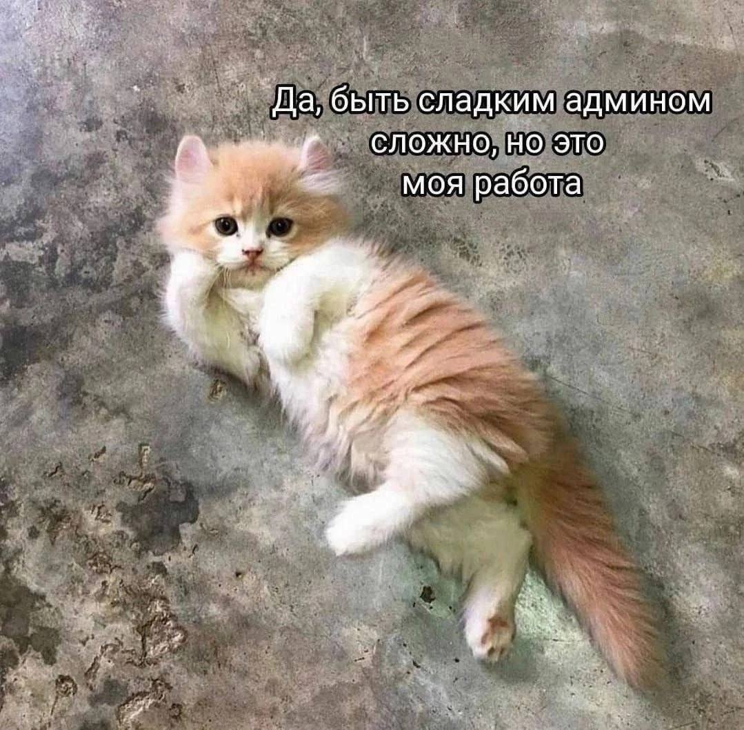 `Да, быть сладким админом СЛОЖНО, НО ЭТО моя работа