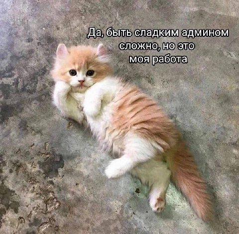 `Да, быть сладким админом СЛОЖНО, НО ЭТО моя работа