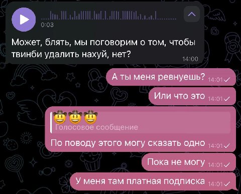 Может, блять, мы поговорим о том, чтобы твинби удалить нахуй, нет? А ты меня ревнуешь? ИЛИ ЧТО ЭТО и Голосовое сообщение По поводу этого могу сказать одно Пока не могу У меня там платная подписка