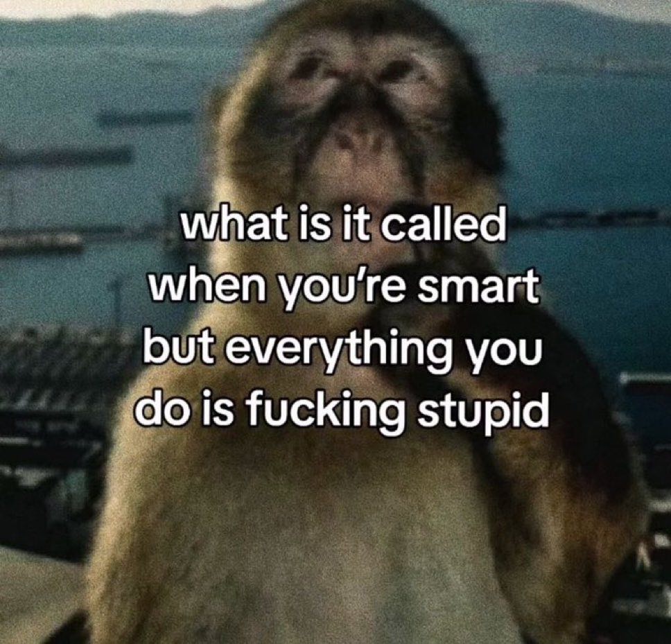 what is К called when you’re smart but everything you {doi is fucking stupid