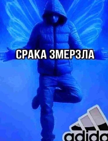 СРАКА ЗМЕРЗЛА