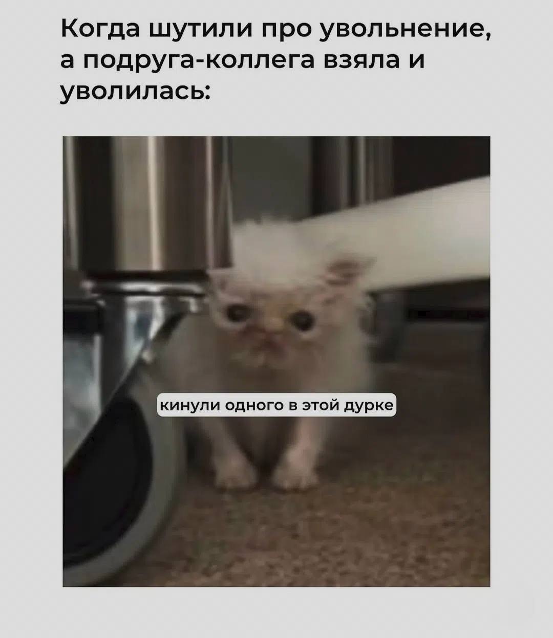 Когда шутили про увольнение, а подруга-коллега взяла и уволилась: у.