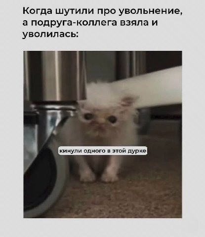 Когда шутили про увольнение, а подруга-коллега взяла и уволилась: у.
