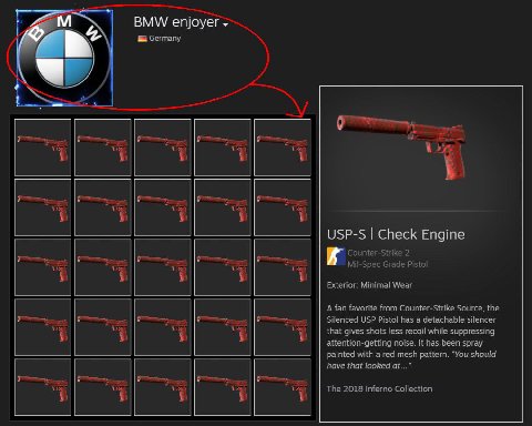 BMW enjoyer USP-S Check Engine Counter-Strike 2 Mil-Spec Grade Pistol Exterior: Minimal Wear A fan favorite from Counter-Strike Source, the Silenced USP Pistol has a detachable silencer that gives sho