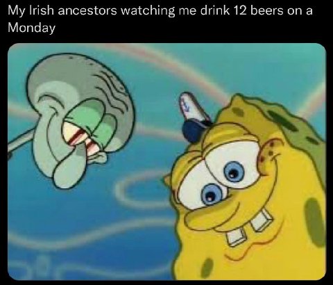 My Irish ancestors watching me drink 12 beers опа Monday У