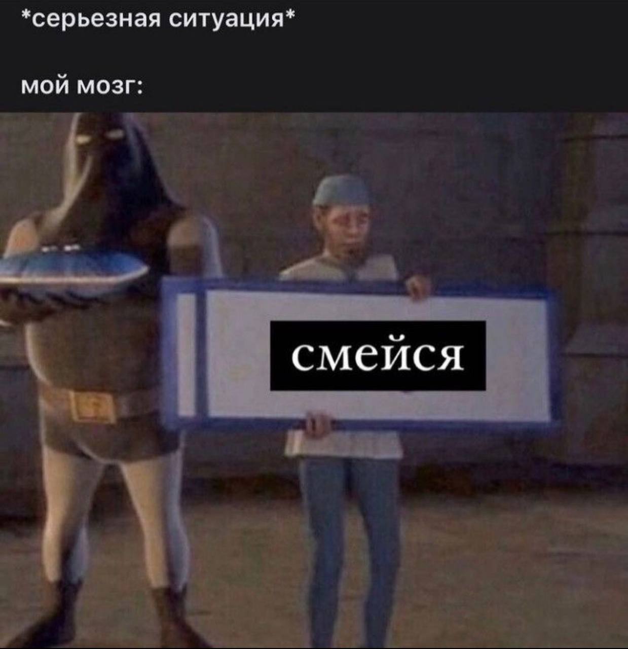 *серьезная ситуация* МОЙ МОЗГ: смейся