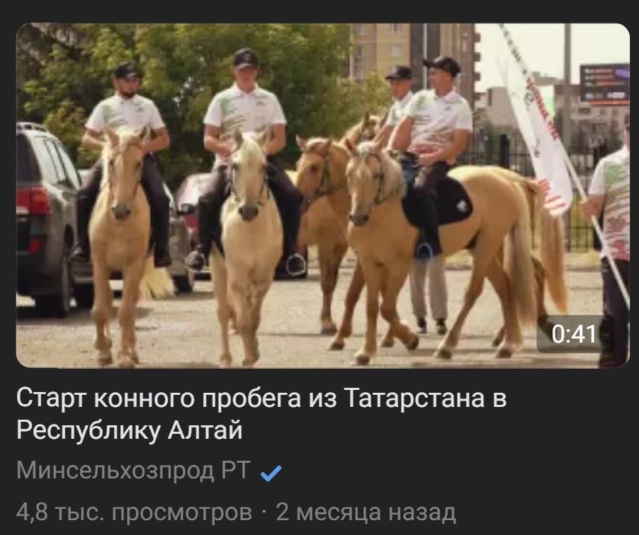 сейчас бы вот эту штуку а не всю хуйню