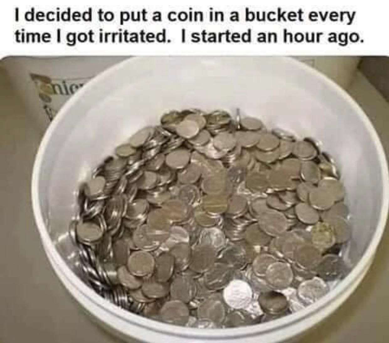 decided to put a сот a bucket every time got irritated. started an hour ago.