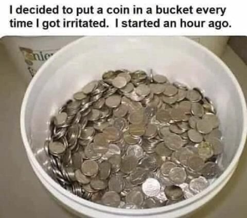 decided to put a сот a bucket every time got irritated. started an hour ago.