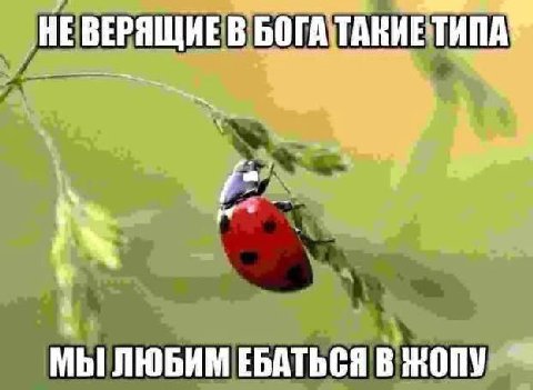 HE ВЕРЯЩИЕ В БОГА ТАКИЕ ТИПА?" МЫ ЛЮБИМ ЕБАТЬСЯ В ЖОПУ