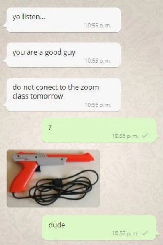 listen... you are a good guy not conect to the zoom class tomorrow dude