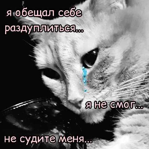 Я обещал себе A не судите меня