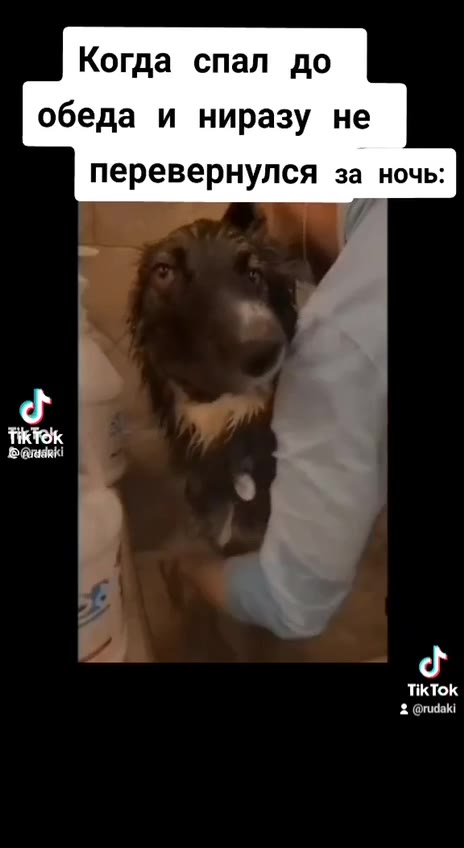 Когда спал до обеда и ниразу не перевернулся за ночь: