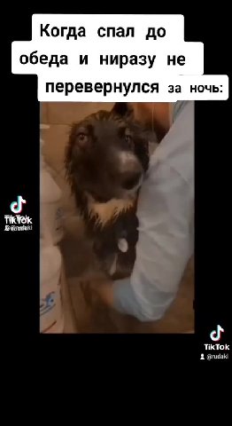 Когда спал до обеда и ниразу не перевернулся за ночь: