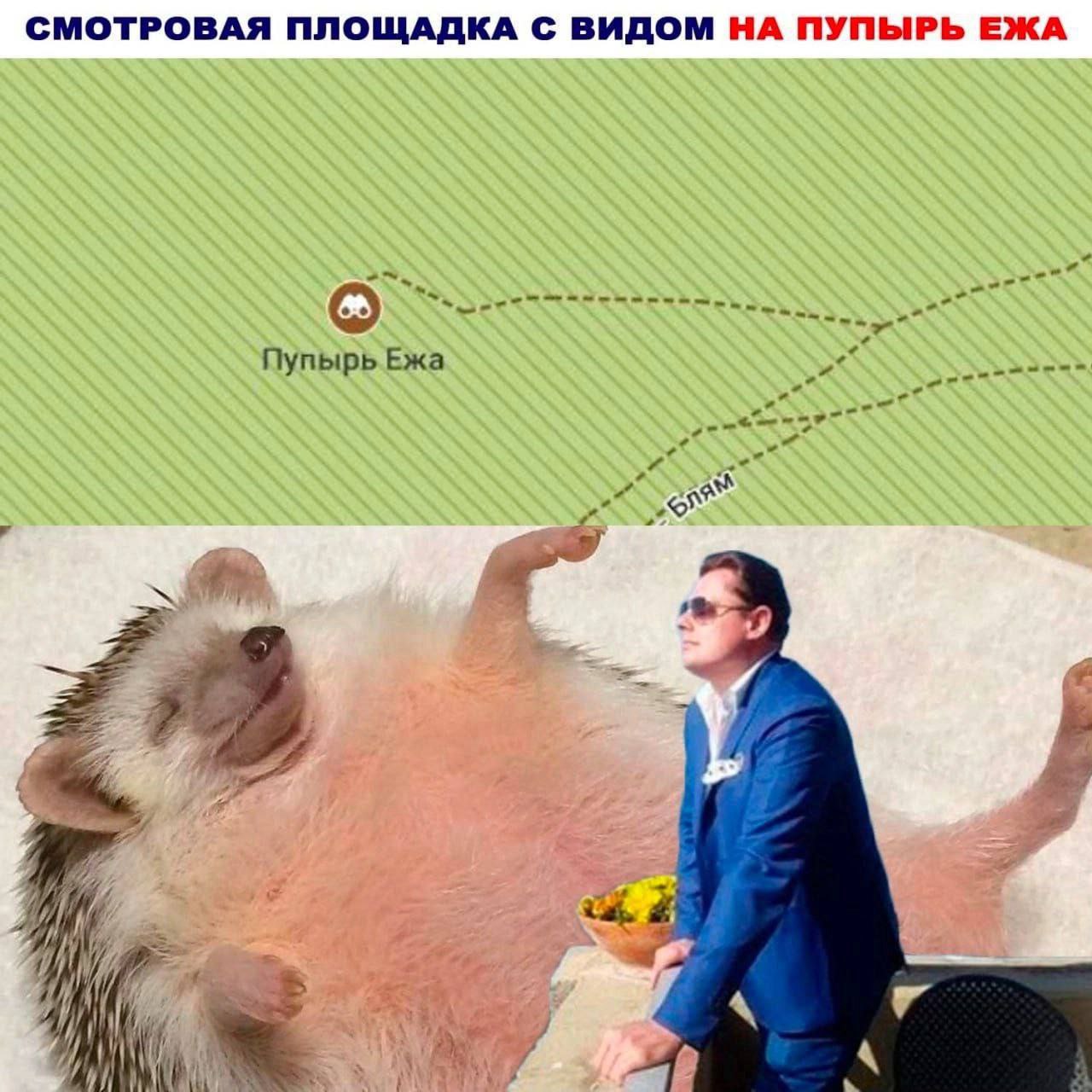 СМОТРОВАЯ ПЛОЩАДКА С ВИДОМ НА ПУПЫРЬ ЕЖА SSS Пупырь Ежа