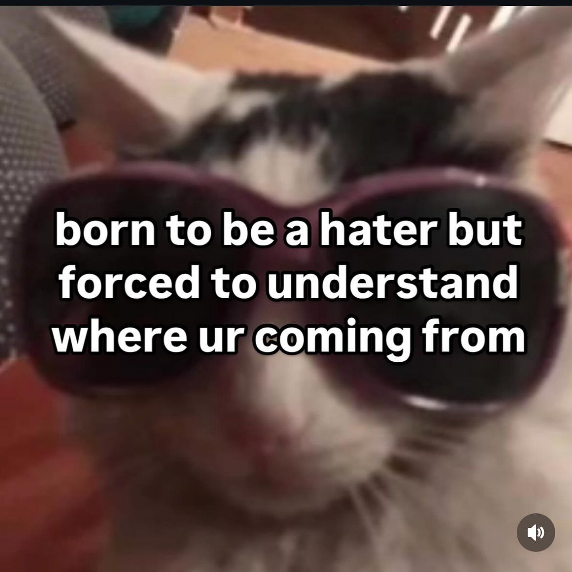 born to be a hater but forced to understand where coming from