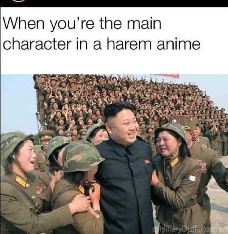 When the main character in a harem anime i