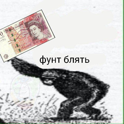 фунт блять i-