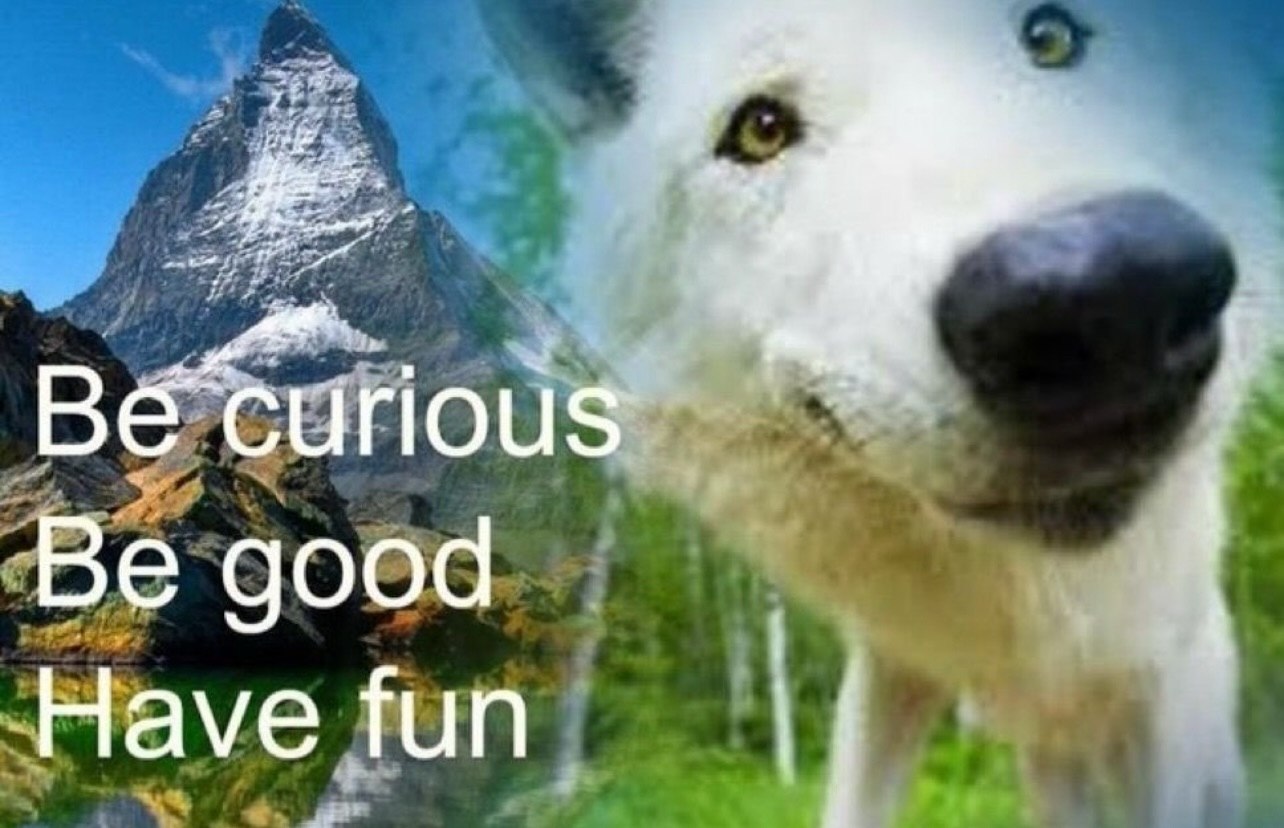 Be good Have fun