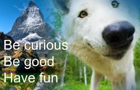 Be good Have fun