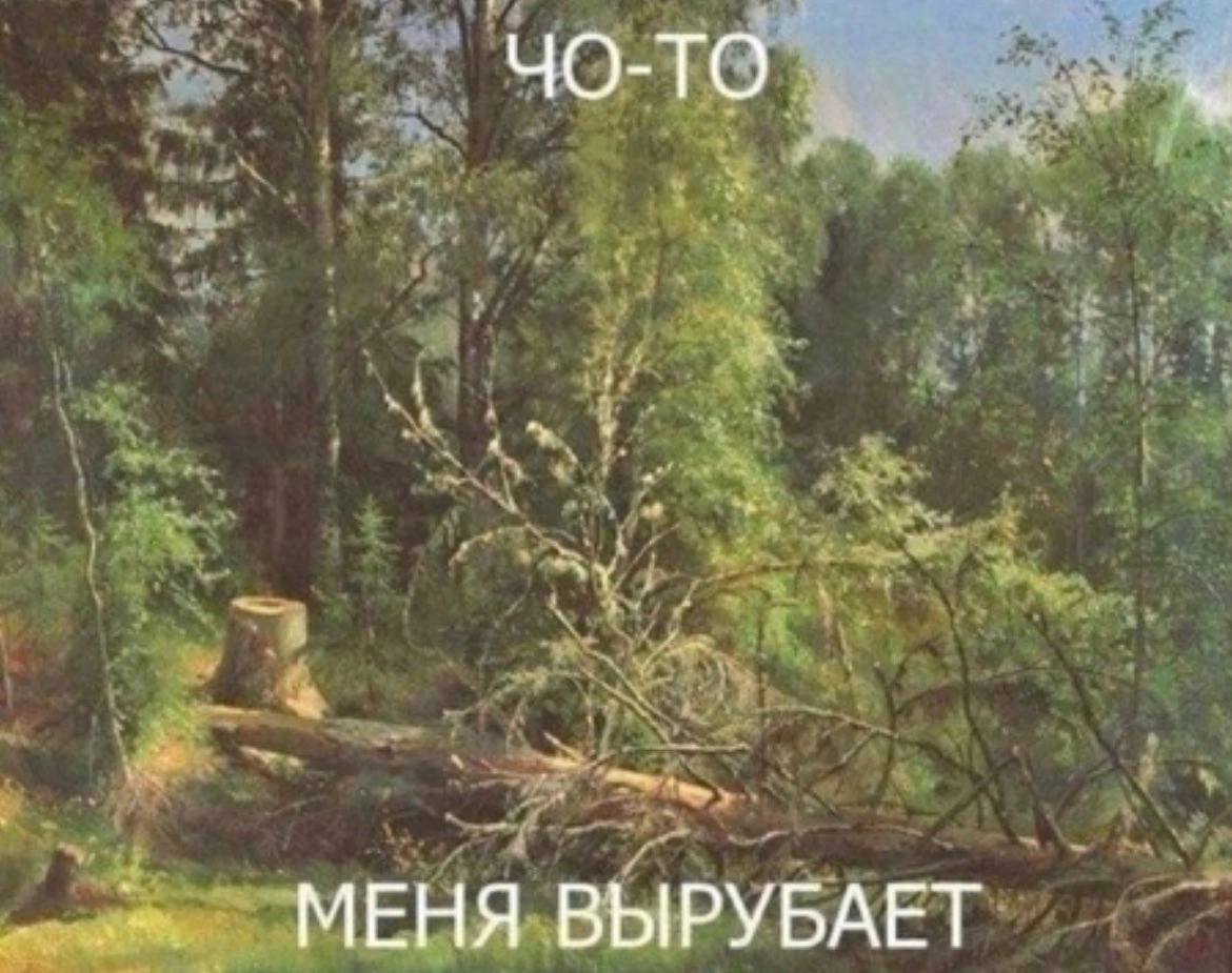 МЕНЯ ВЫРУБАЕТ