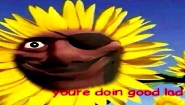 Bure dom good tad