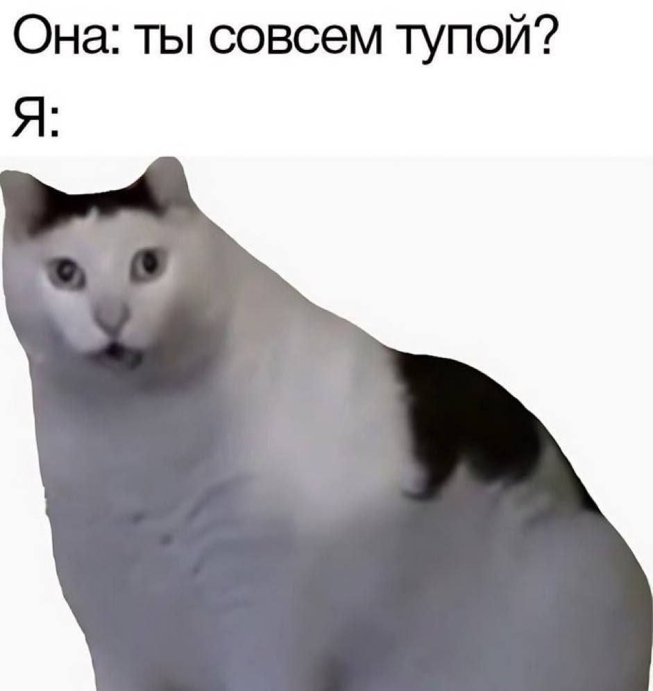 Она: ты совсем тупой? Я:
