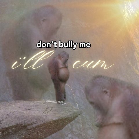 don’t bully me