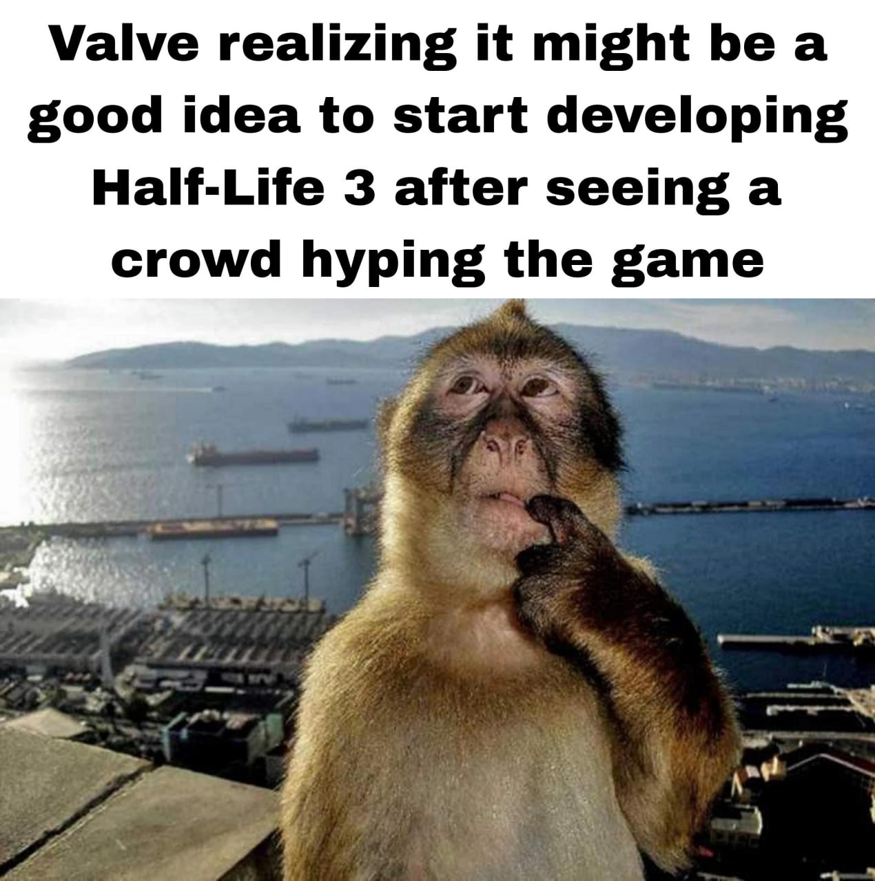 Valve realizing it might be good idea to start developing Half-Life 3 after seeing a crowd hyping the game